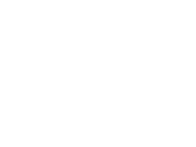 Black Armour