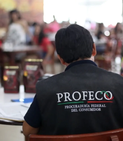 PROFECO 02