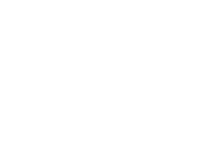 PubliFon